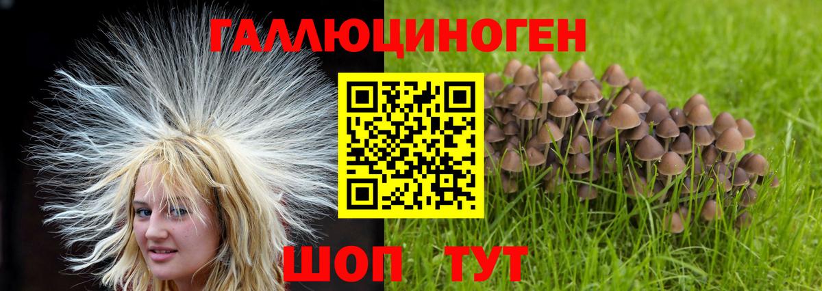 Галлюциногенные грибы Cubensis Нижневартовск